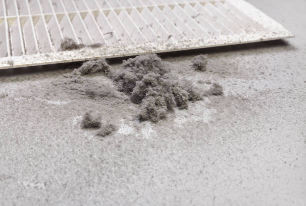 Best Air Duct Cleaning Near Me  in Alamo Heights, TX